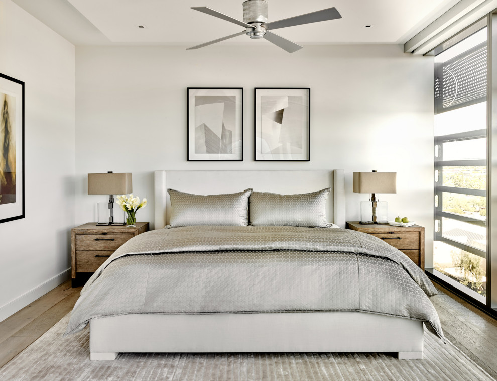 Mittelgroßes Modernes Hauptschlafzimmer mit grauer Wandfarbe, braunem Holzboden und braunem Boden in Phoenix