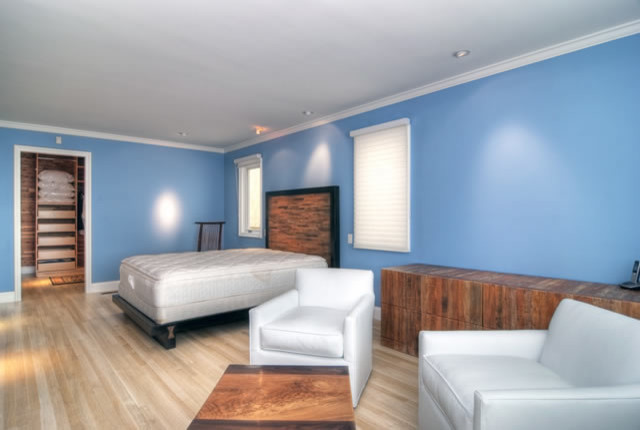 Large contemporary guest bedroom in Orange County with blue walls and light hardwood flooring.