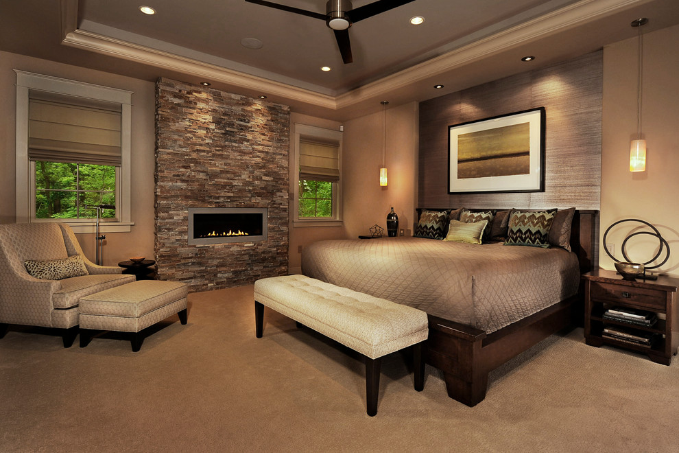 Trendy carpeted bedroom photo in Philadelphia with a ribbon fireplace