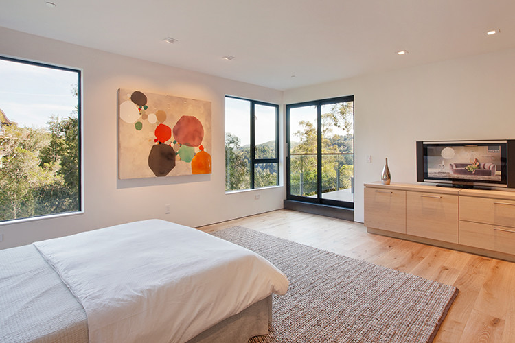 Esempio di una grande camera degli ospiti minimalista con pareti bianche e pavimento in legno massello medio