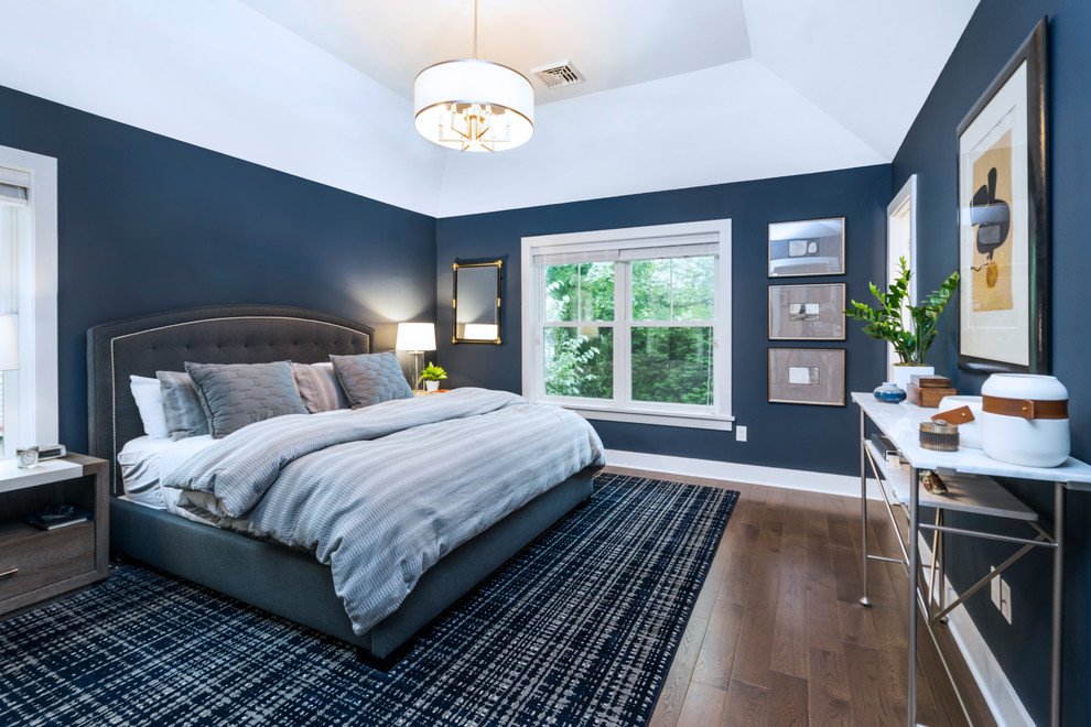 フィラデルフィアにある中くらいなトランジショナルスタイルのおしゃれな主寝室 (青い壁、濃色無垢フローリング、茶色い床、グレーとブラウン)