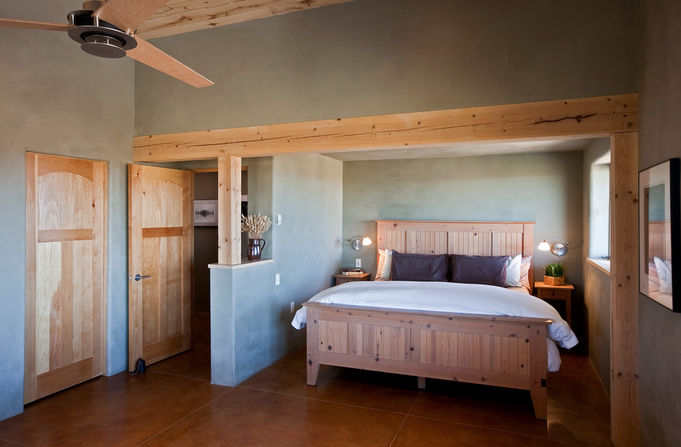Bedroom - rustic guest bedroom idea in Other with gray walls and no fireplace