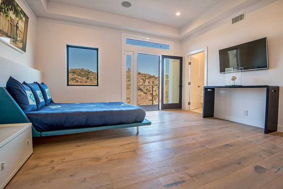Photo of a medium sized contemporary guest bedroom in Los Angeles with white walls, light hardwood flooring and no fireplace.