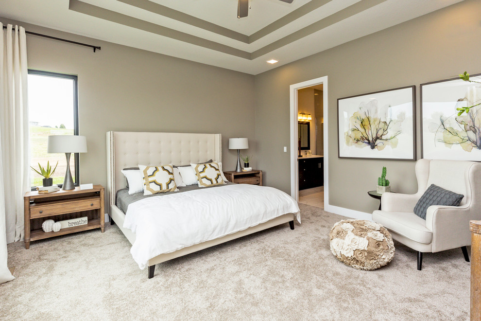 他の地域にある広いトランジショナルスタイルのおしゃれな主寝室 (グレーの壁、カーペット敷き、グレーの床) のインテリア