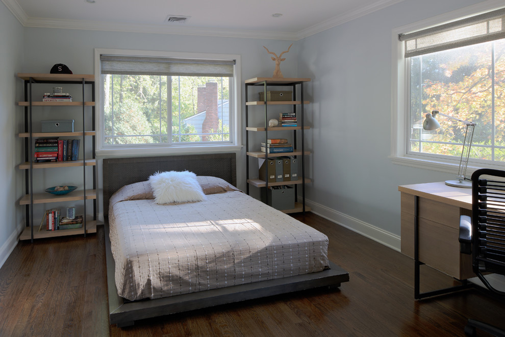 Diseño de dormitorio principal moderno de tamaño medio con paredes azules y suelo de madera oscura