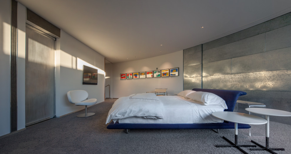 Свежая идея для дизайна: спальня в современном стиле с ковровым покрытием и телевизором - отличное фото интерьера