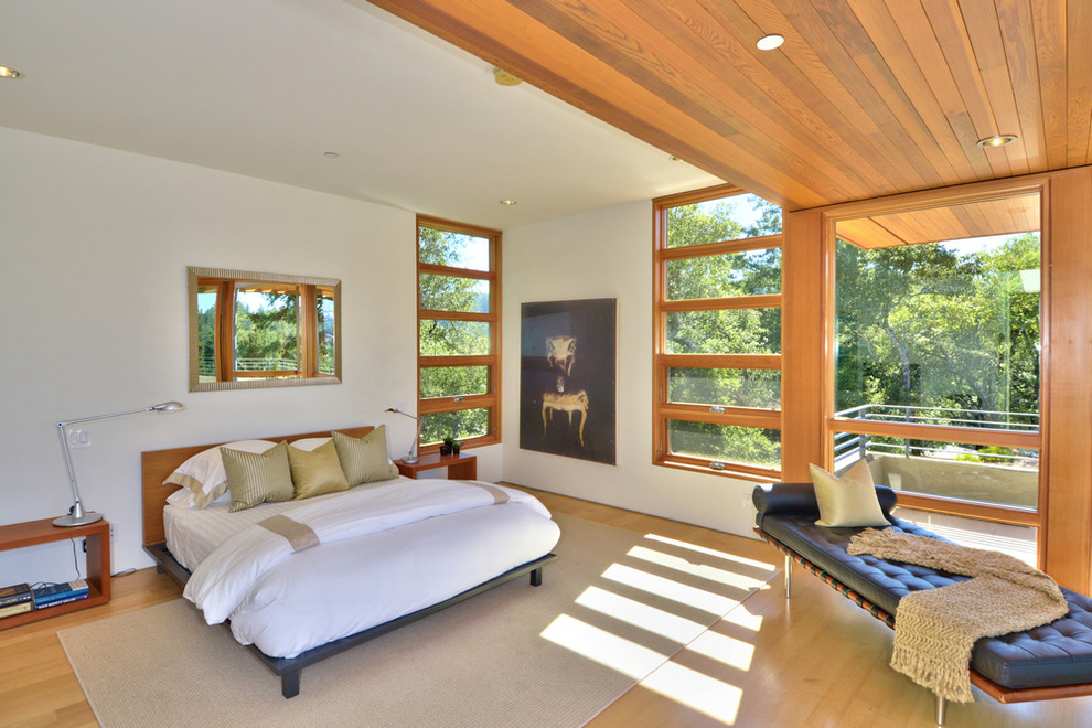 Diseño de dormitorio principal contemporáneo con suelo de madera en tonos medios