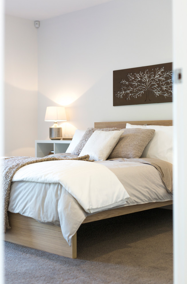 Example of a mid-sized trendy guest carpeted and brown floor bedroom design in Canberra - Queanbeyan with white walls