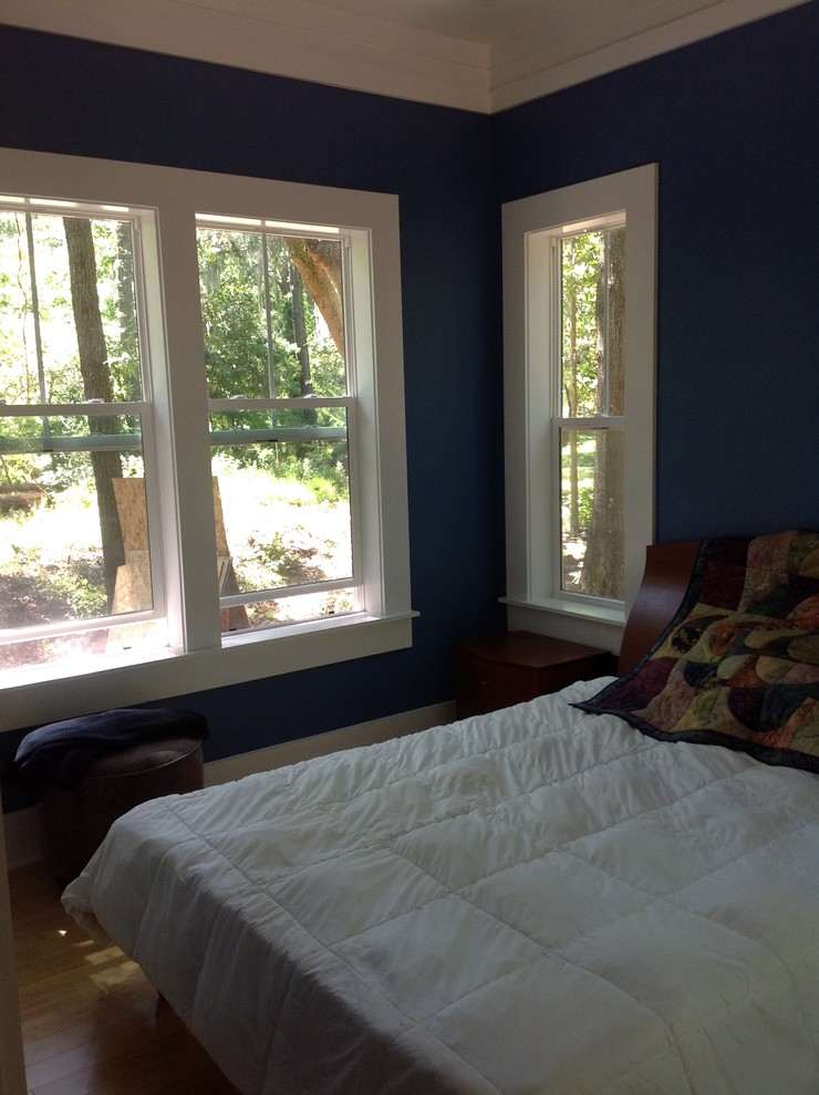 Идея дизайна: маленькая хозяйская спальня в классическом стиле с синими стенами для на участке и в саду