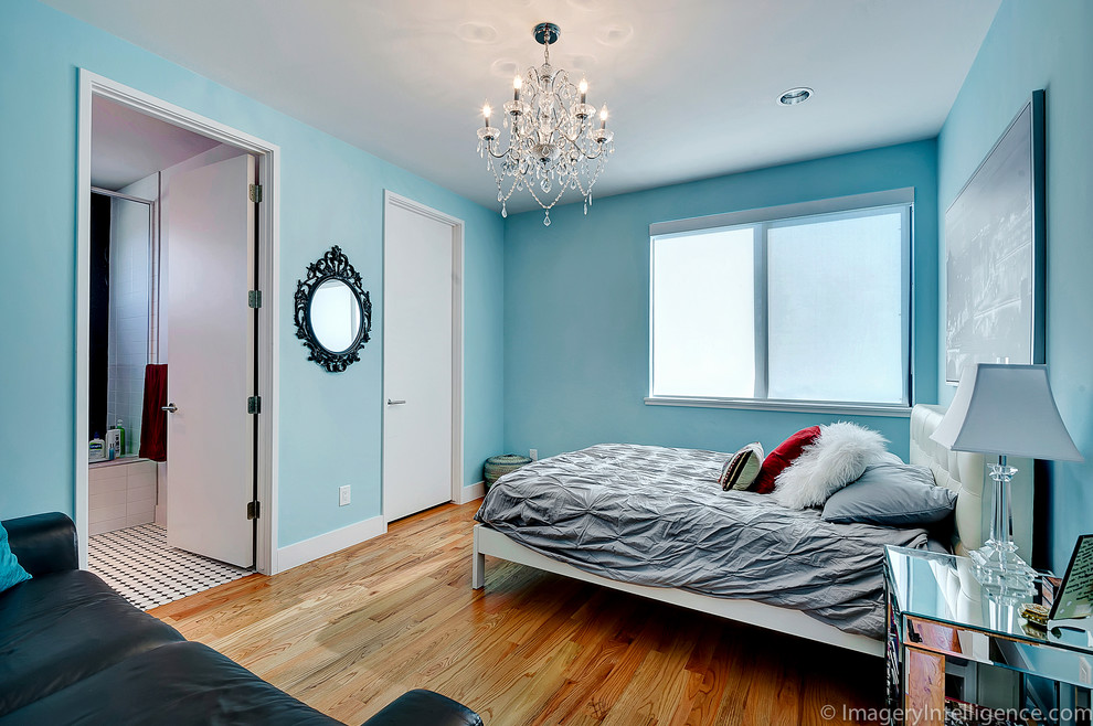 Modelo de habitación de invitados actual de tamaño medio con paredes azules y suelo de madera en tonos medios
