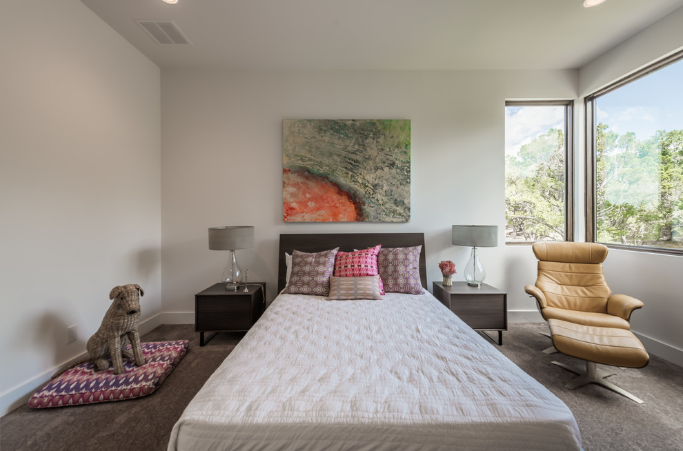 This is an example of a large contemporary guest and grey and brown bedroom in Austin with white walls, carpet and no fireplace.