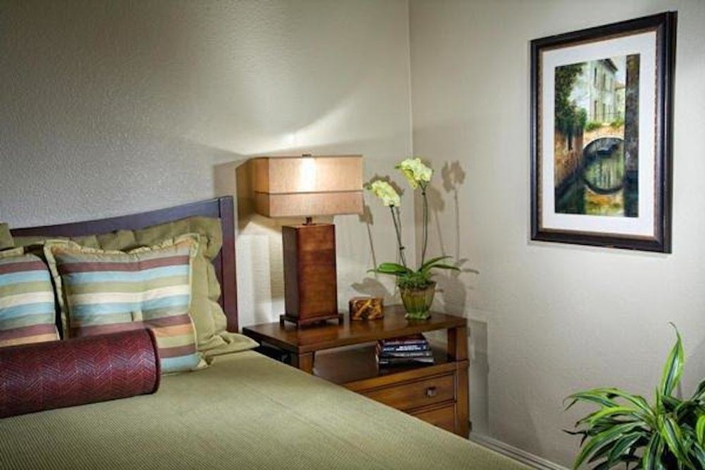 На фото: гостевая спальня среднего размера, (комната для гостей) в современном стиле