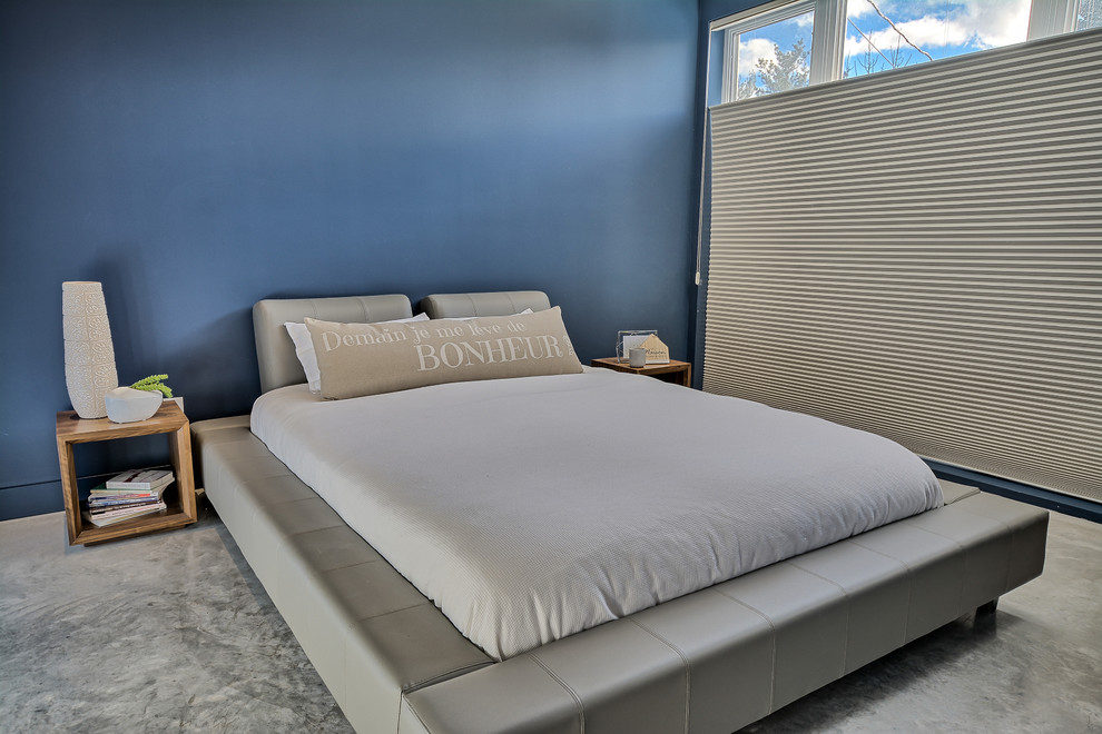 Diseño de dormitorio principal actual de tamaño medio sin chimenea con paredes azules y suelo de cemento