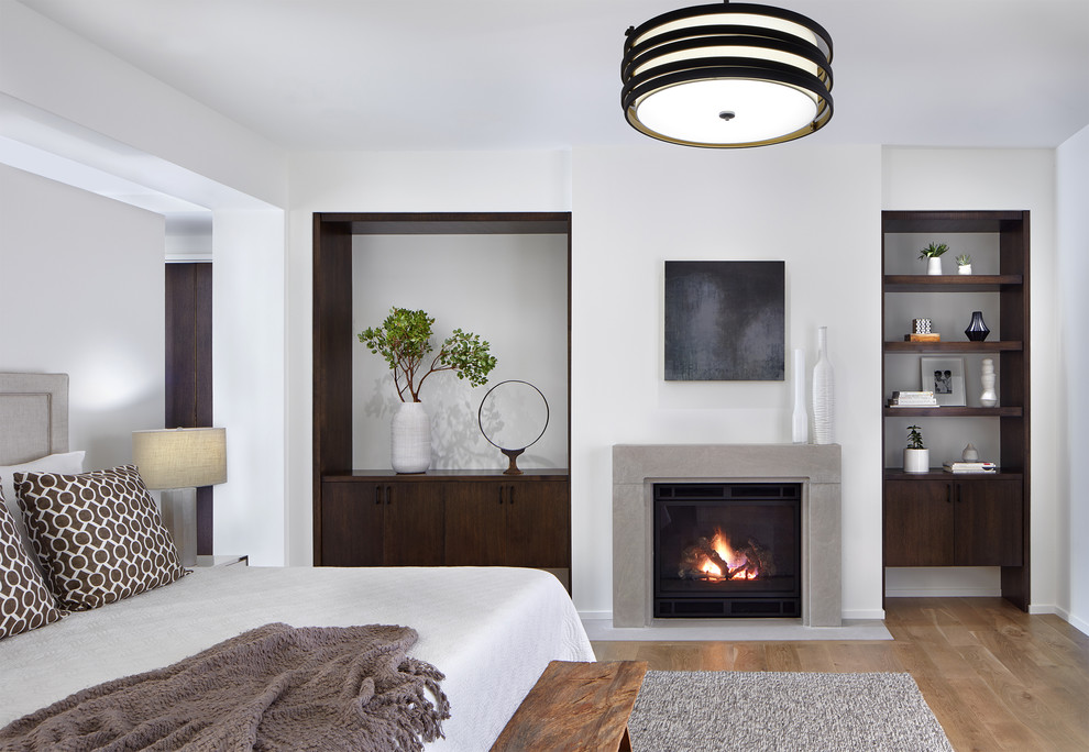 ミネアポリスにあるラスティックスタイルのおしゃれな主寝室 (白い壁、淡色無垢フローリング、標準型暖炉、金属の暖炉まわり)