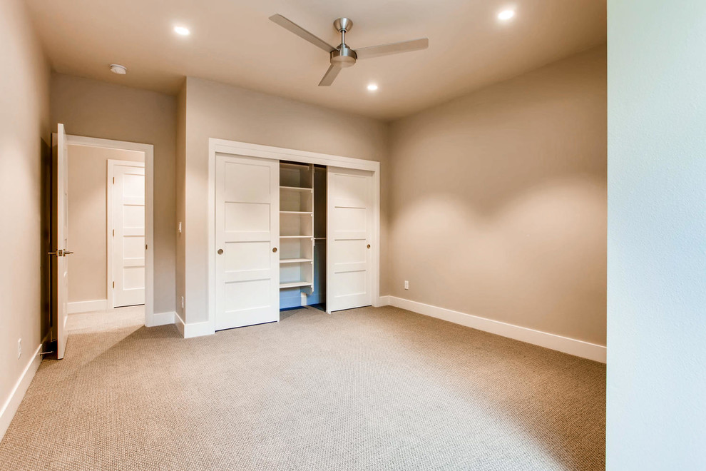Photo of a medium sized traditional guest bedroom in Other with brown walls, carpet, no fireplace and brown floors.