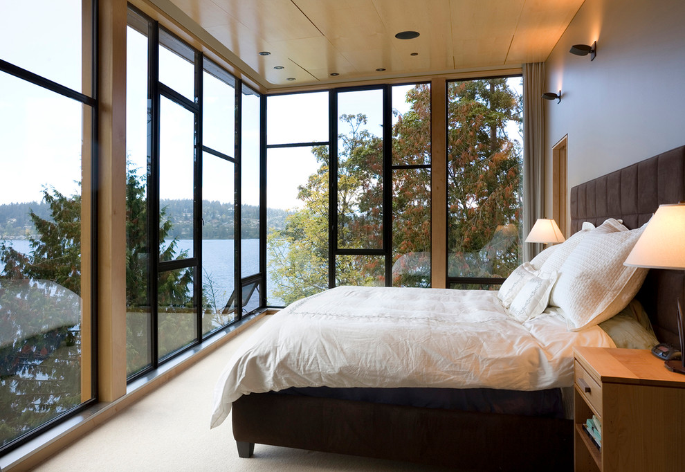 Пример оригинального дизайна: хозяйская спальня среднего размера в современном стиле с синими стенами и ковровым покрытием без камина