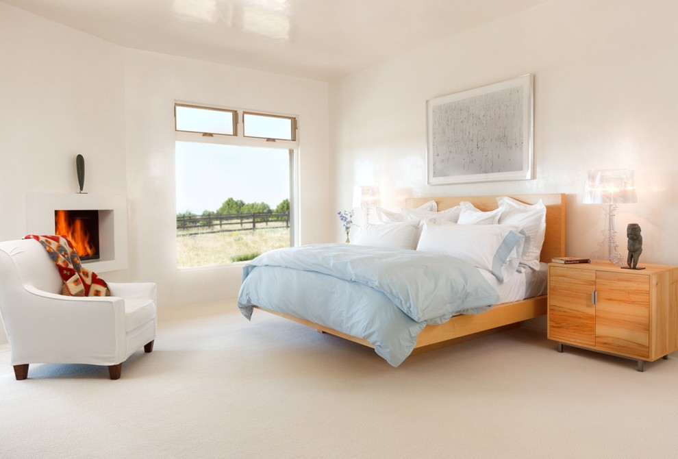 Свежая идея для дизайна: большая хозяйская спальня в современном стиле с белыми стенами и ковровым покрытием без камина - отличное фото интерьера