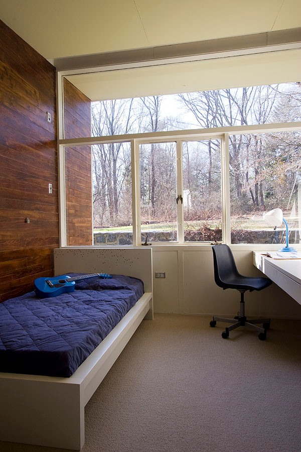 Diseño de habitación de invitados moderna de tamaño medio sin chimenea con paredes marrones y moqueta