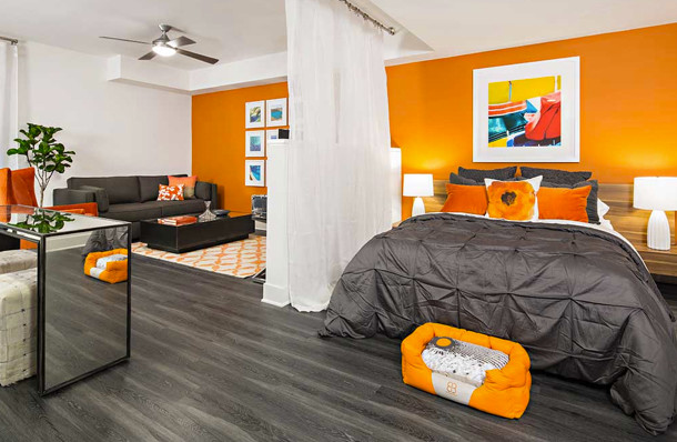 Kleines Modernes Schlafzimmer mit oranger Wandfarbe und dunklem Holzboden in Orange County
