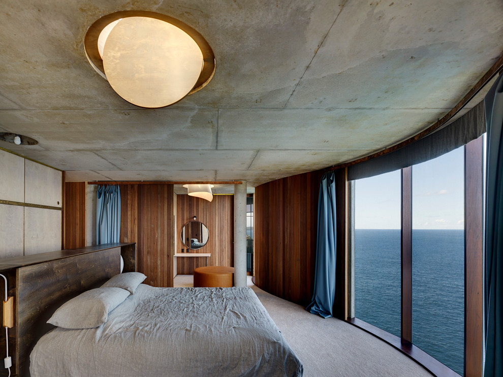 Источник вдохновения для домашнего уюта: спальня среднего размера в современном стиле с ковровым покрытием без камина