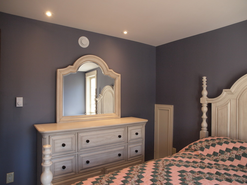 Photo of a medium sized traditional guest bedroom in Other with blue walls.