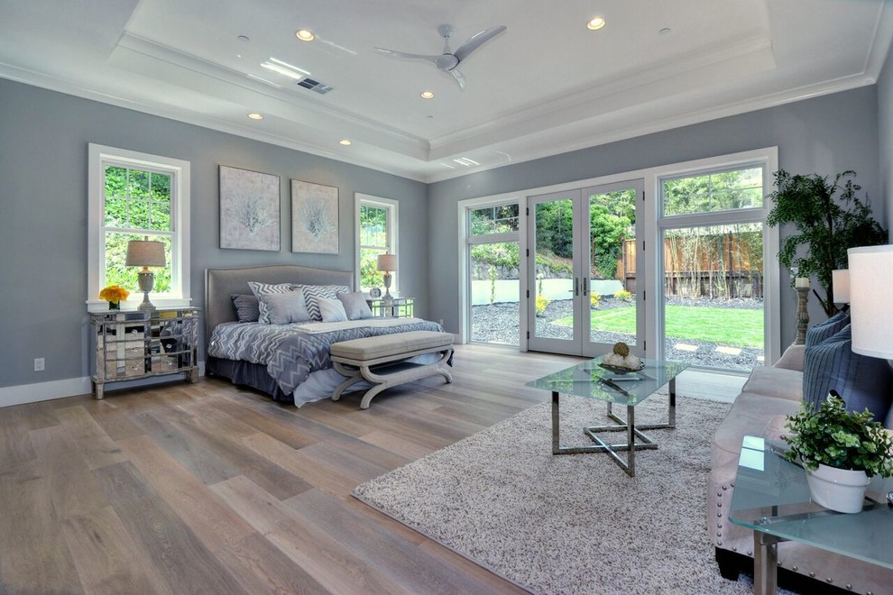 Example of a large transitional master light wood floor and brown floor bedroom design in San Francisco with gray walls and no fireplace