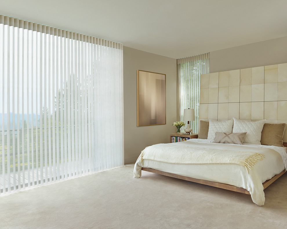 На фото: большая хозяйская спальня в современном стиле с белыми стенами и ковровым покрытием