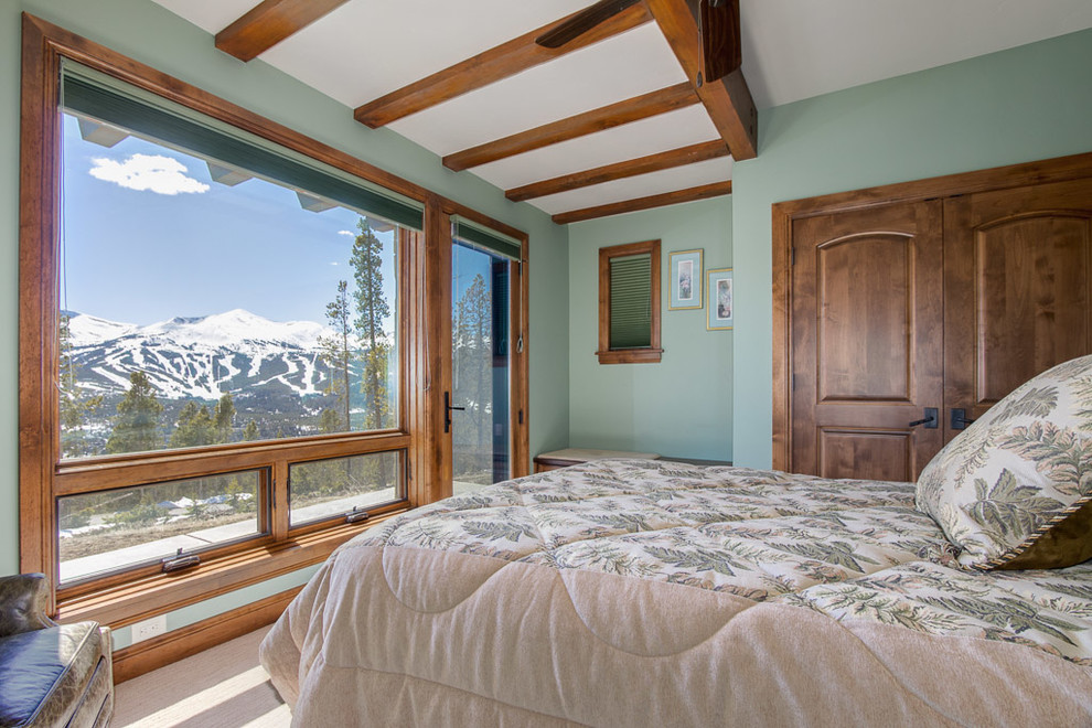 Medium sized rustic guest bedroom in Denver with green walls and carpet.