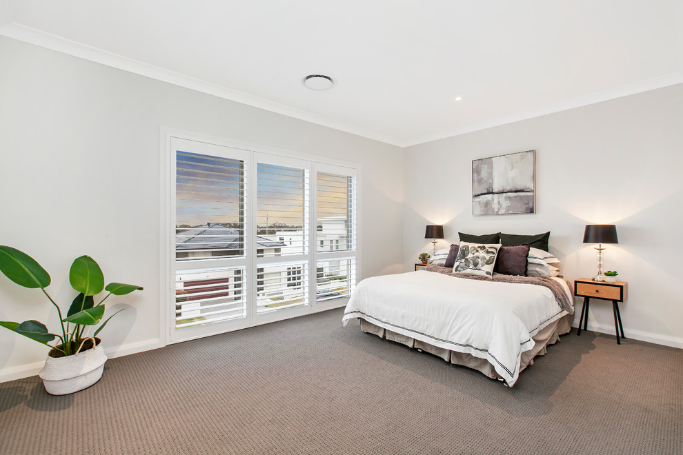 Example of a large trendy guest carpeted and brown floor bedroom design in Sydney with brown walls and no fireplace
