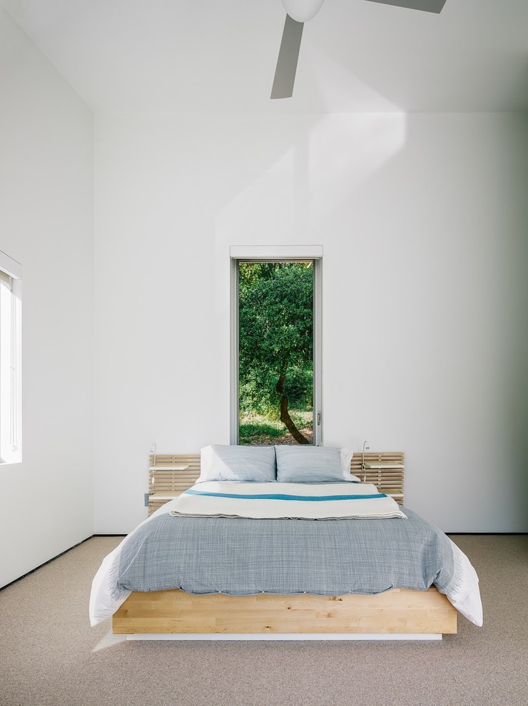 Bild på ett funkis sovrum, med heltäckningsmatta och vita väggar