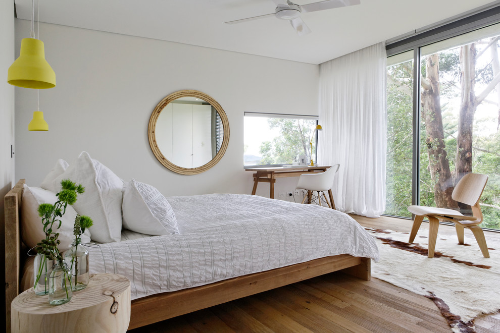 Inspiration for a mid-sized contemporary master medium tone wood floor and brown floor bedroom remodel in Sydney with white walls