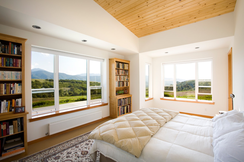 Example of a large trendy master bedroom design in Other with white walls and no fireplace