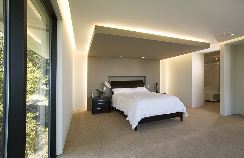 На фото: хозяйская спальня в современном стиле с белыми стенами, ковровым покрытием и акцентной стеной без камина с