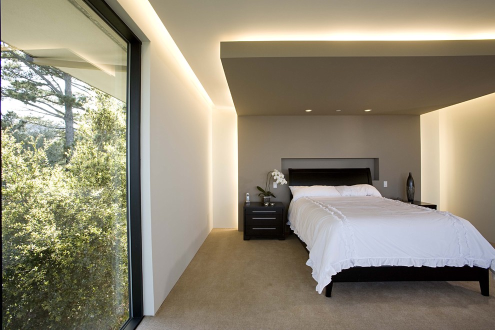 サンフランシスコにあるコンテンポラリースタイルのおしゃれな主寝室 (カーペット敷き、グレーの壁、アクセントウォール) のレイアウト