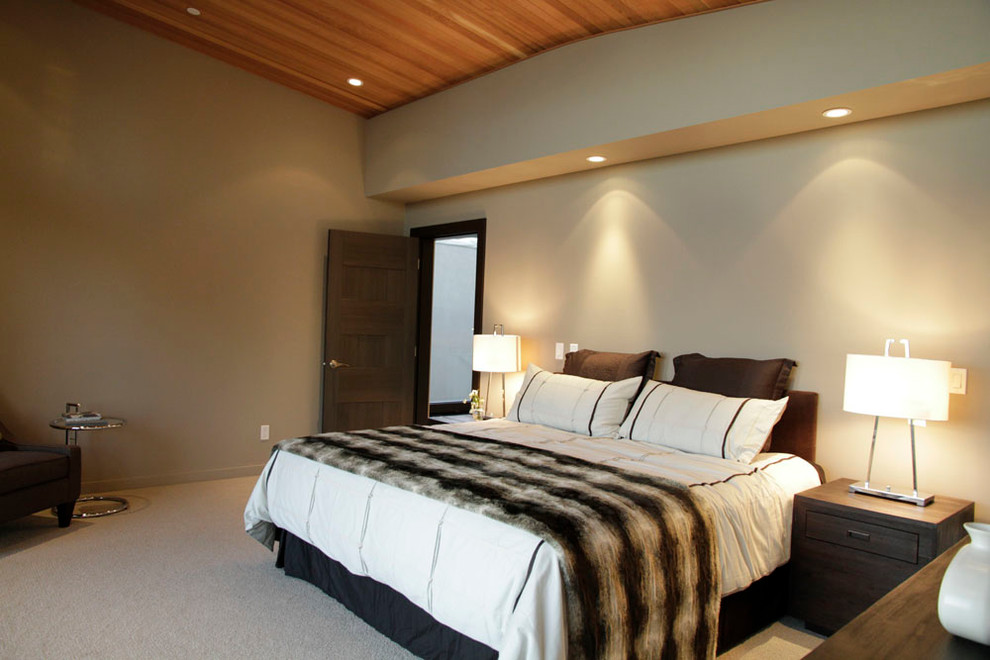 Modelo de dormitorio principal minimalista de tamaño medio sin chimenea con paredes marrones y moqueta