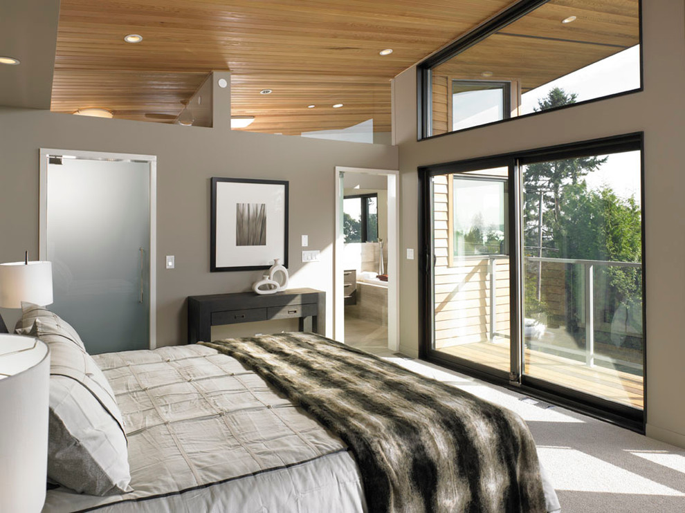 Imagen de dormitorio principal moderno de tamaño medio sin chimenea con paredes marrones y moqueta