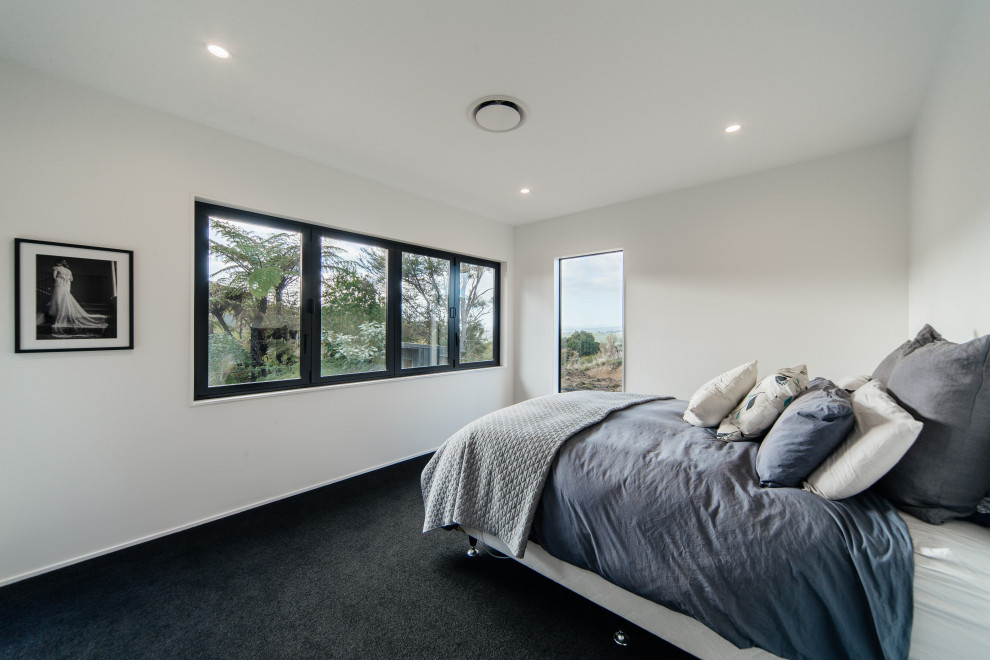 Mittelgroßes Modernes Hauptschlafzimmer mit weißer Wandfarbe, Teppichboden, grauem Boden und gewölbter Decke in Auckland