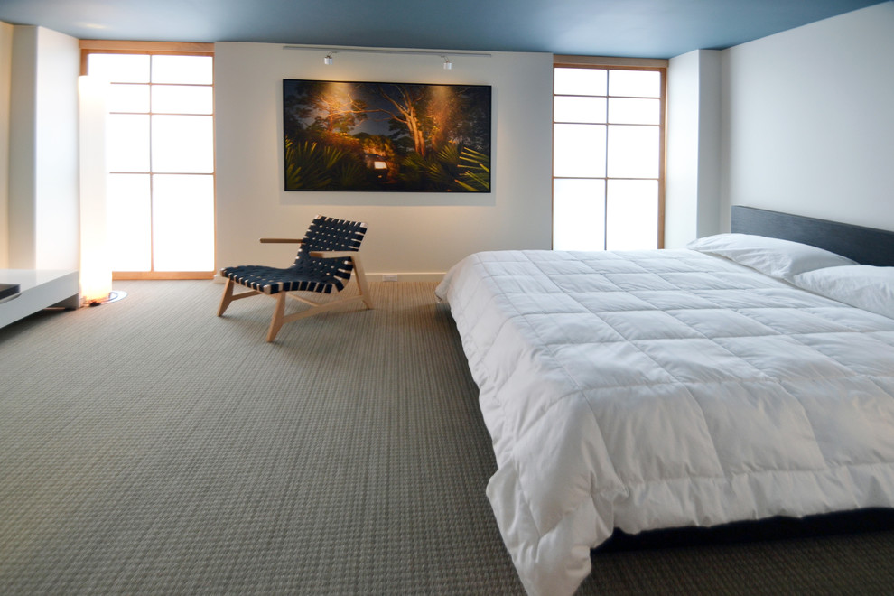 Источник вдохновения для домашнего уюта: хозяйская спальня в стиле модернизм с белыми стенами, ковровым покрытием и серым полом