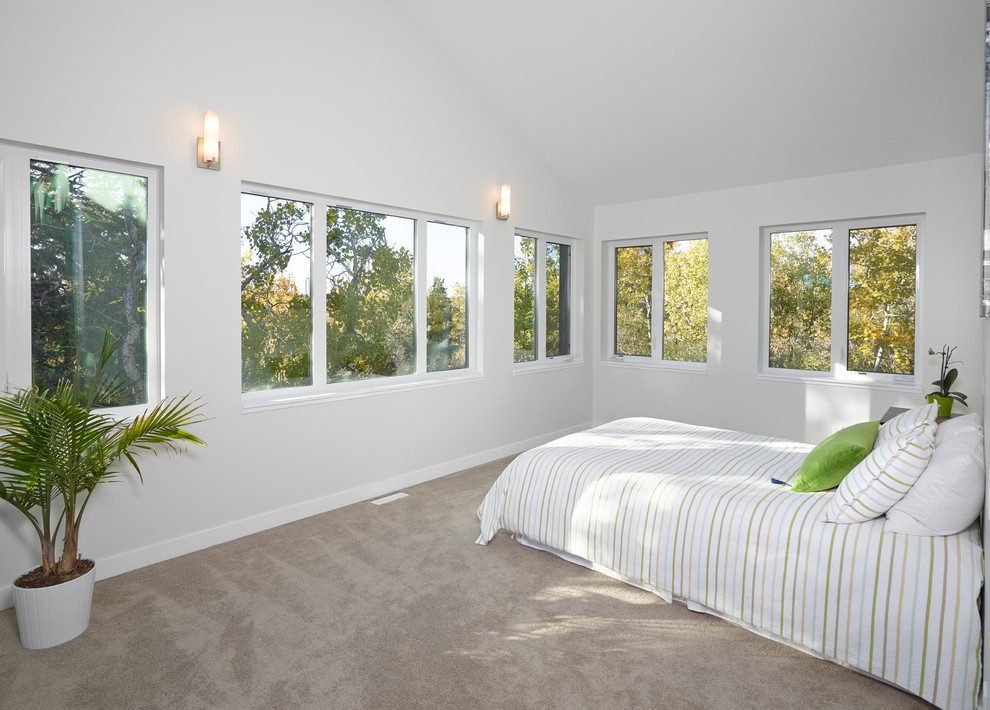 エドモントンにある広いコンテンポラリースタイルのおしゃれな主寝室 (白い壁、カーペット敷き、暖炉なし、ベージュの床) のレイアウト