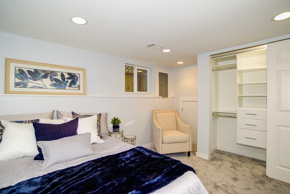Ejemplo de dormitorio principal contemporáneo de tamaño medio con paredes azules, moqueta y suelo gris