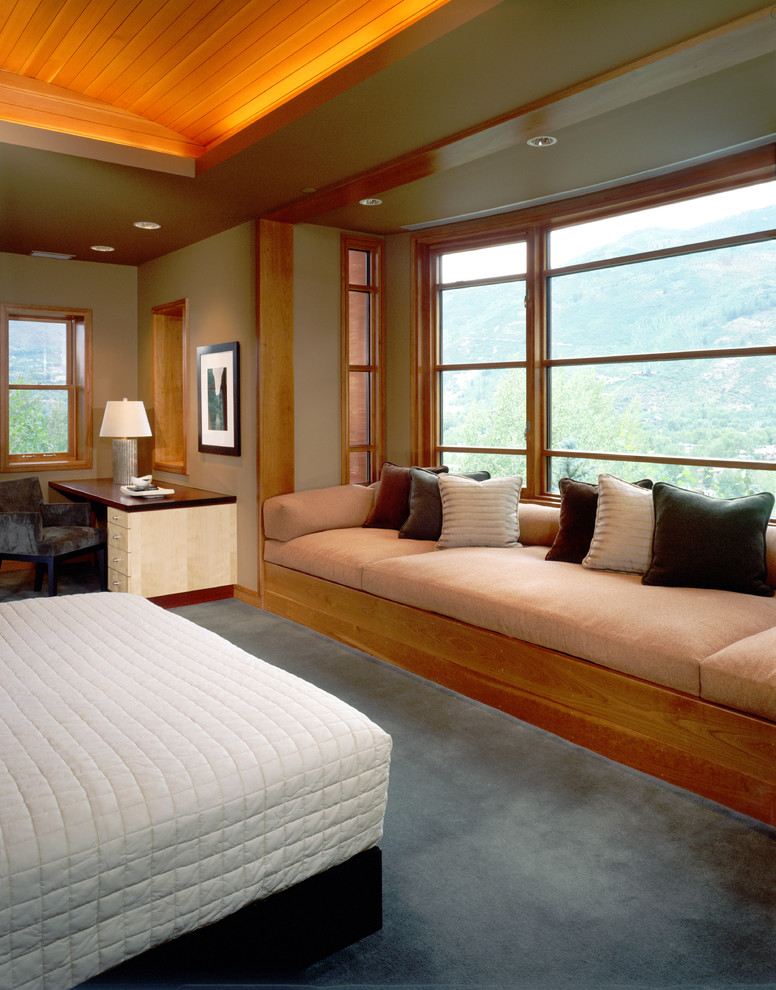 Large modern master and grey and brown bedroom in Denver with brown walls, carpet, no fireplace and grey floors.