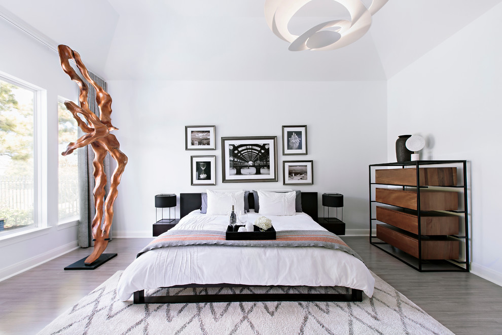 ヒューストンにあるコンテンポラリースタイルのおしゃれな寝室のインテリア