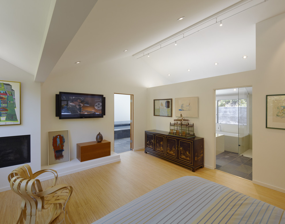 Пример оригинального дизайна: хозяйская спальня среднего размера в стиле модернизм с белыми стенами, стандартным камином, фасадом камина из штукатурки и полом из бамбука