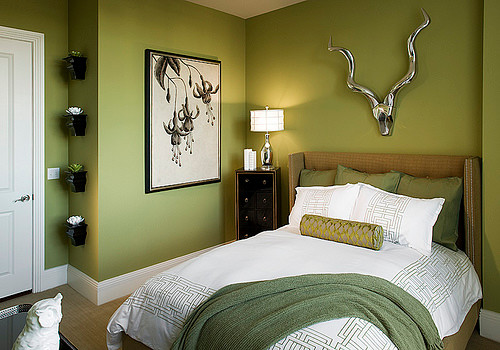Immagine di una camera degli ospiti moderna di medie dimensioni con pareti verdi e moquette