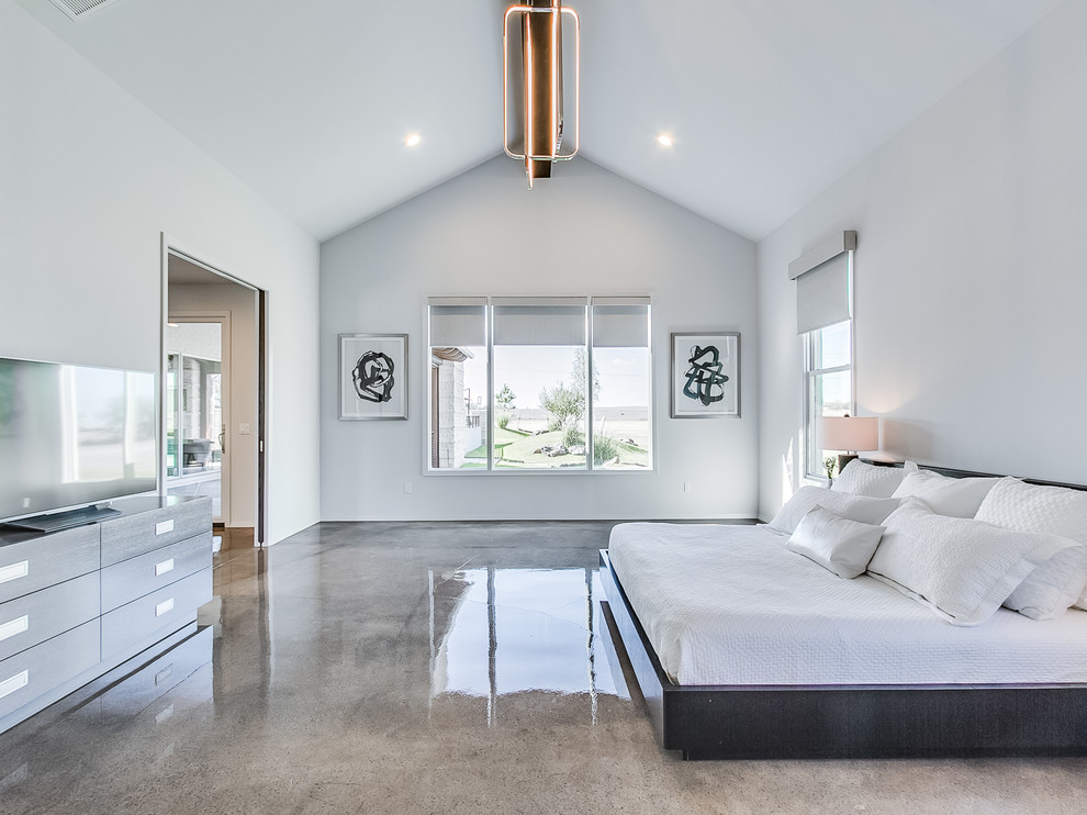 Huge trendy master concrete floor bedroom photo in Oklahoma City with gray walls
