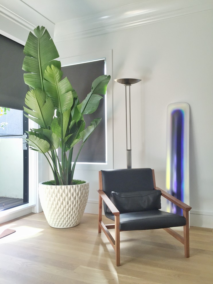 Plante de interior design modern