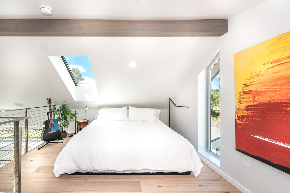デンバーにある小さなコンテンポラリースタイルのおしゃれなロフト寝室 (白い壁、淡色無垢フローリング、暖炉なし) のインテリア