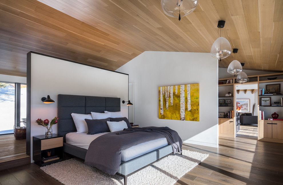 Example of a mountain style master dark wood floor bedroom design in Denver with white walls and no fireplace