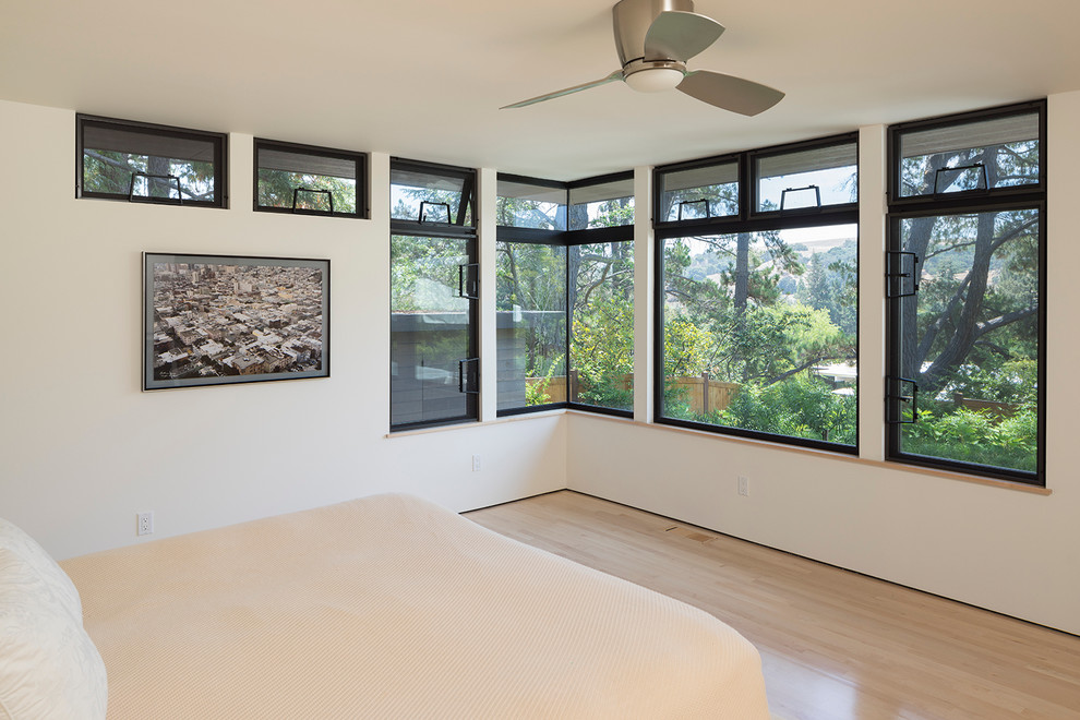 This is an example of a large contemporary master bedroom in San Francisco with white walls, light hardwood flooring and no fireplace.