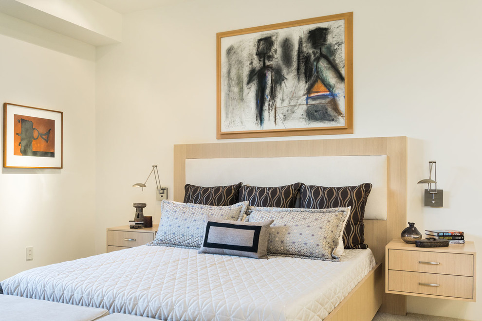 Diseño de dormitorio principal moderno de tamaño medio sin chimenea con paredes blancas y moqueta